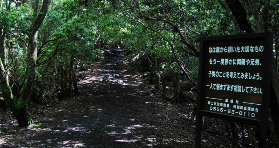 Aokigahara, el bosque de los suicidios de Japón 