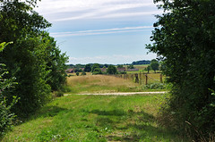Lureuil (Indre). - Photo of Lingé