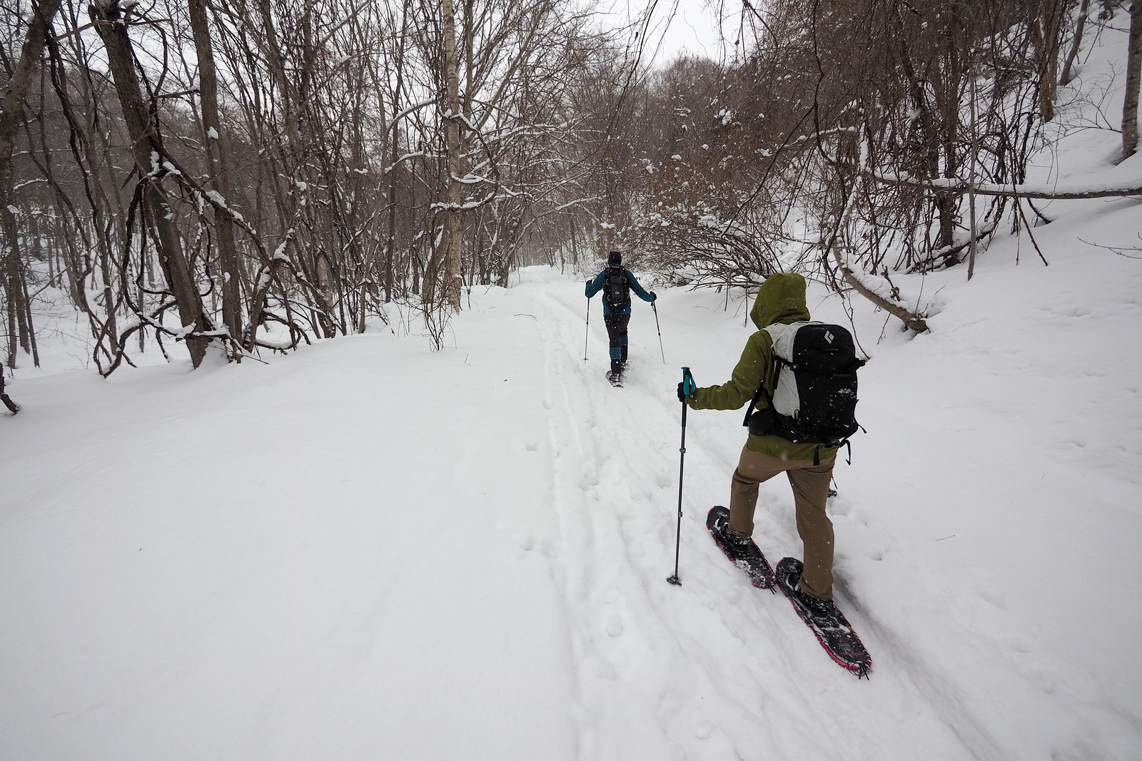 Snowshoeing in Nopporo Forest Park (Hokkaido, Japan)