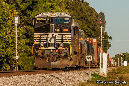 ns9875 ge c409w 391 ns391 sunset signal signals light lights sign ns nsmemphisdistrict nsmemphisdistrictwestend norfolksouthern memphis tennessee tree sky digital merchandise commerce business wow haul outdoor outdoors move mover moving scanlon mojo canon eos engine locomotive rail railroad railway train track horsepower logistics railfanning steel wheels photo photography photographer photograph capture picture trains railfan mp544
