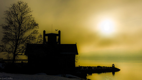 biologen drøbak drøbaksundet oslofjorden silhouette yellow fog tåkedis høykontrast highcontrast raw nikona f8 haze nikoncoolpixa fyr lighthouse