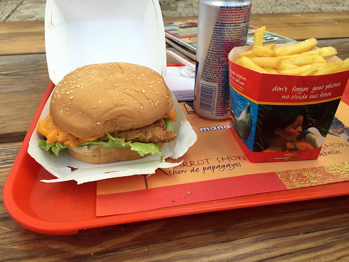 81 - Manati Park - Crispy Chicken Burger