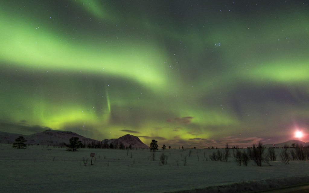 Aurora boreal, Vikran
