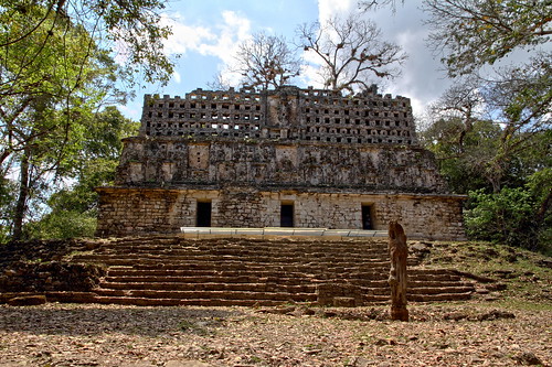 mexico mexique chiapas maya yaxchilán temple jungle arbre tree forêt forest hdr canon eos 7d mars march