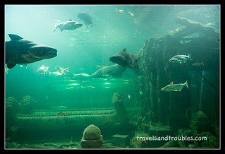 Sisaket aquarium