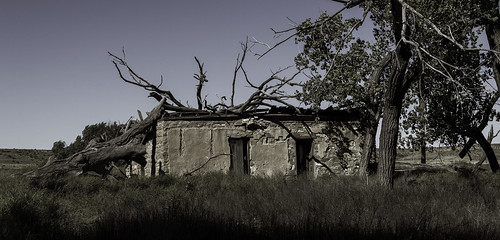 collapsedroof deadtrees shadows abandonedhouse grass horizon deterioration weathered sky opendoorway masonry trees neglect