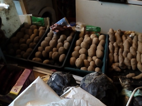 chitting potatoes Feb 18