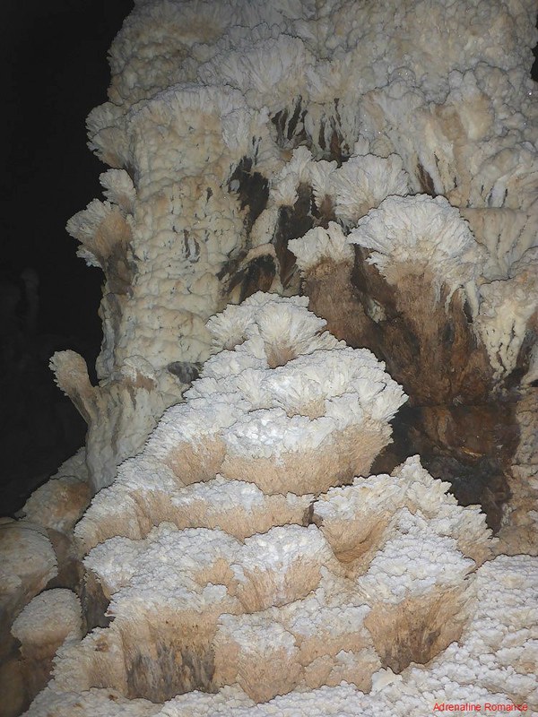 Petal-like formations