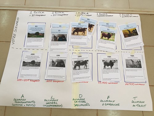 ReSLeSS project workshop in Burkina Faso: Livestock transformation game'
