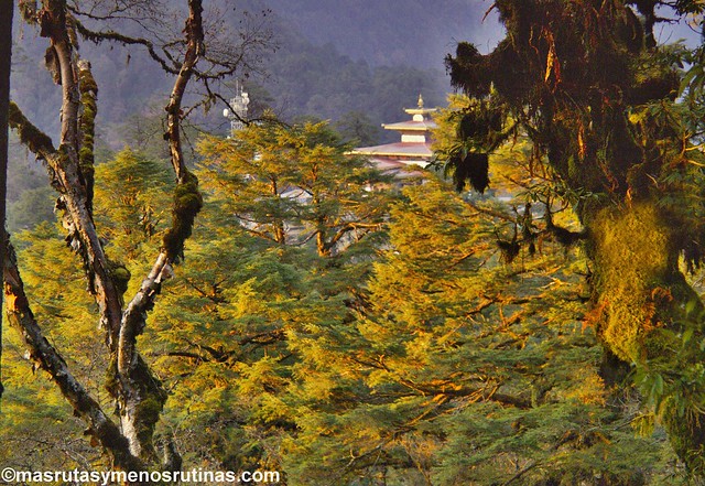 Por los monasterios y bosques de BUTAN - Blogs de Bhutan - De Phobijka a Dochula: aldeas y monasterios mirando al Himalaya (16)