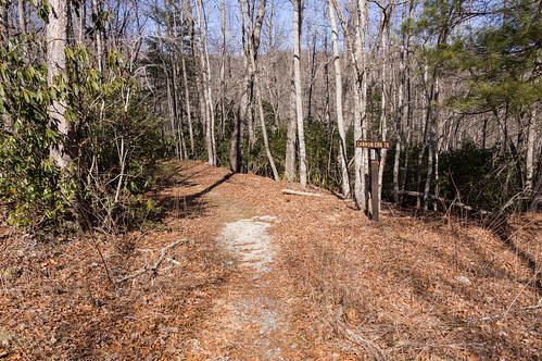 Cannon Creek Trail - 02