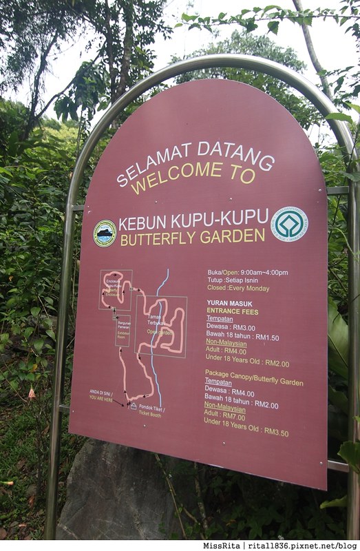 馬來西亞自由行 馬來西亞 沙巴 沙巴自由行 沙巴神山 神山公園 KinabaluPark Nabalu PORINGHOTSPRINGS 亞庇 波令溫泉 klook 客路 客路沙巴 客路自由行 客路沙巴行程69