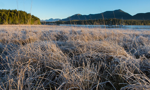 ucluelet fortunecove canada vancouverisland bc pacificnorthwest mountains frost