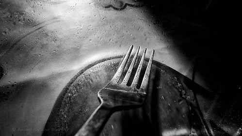 The Light and the Fork