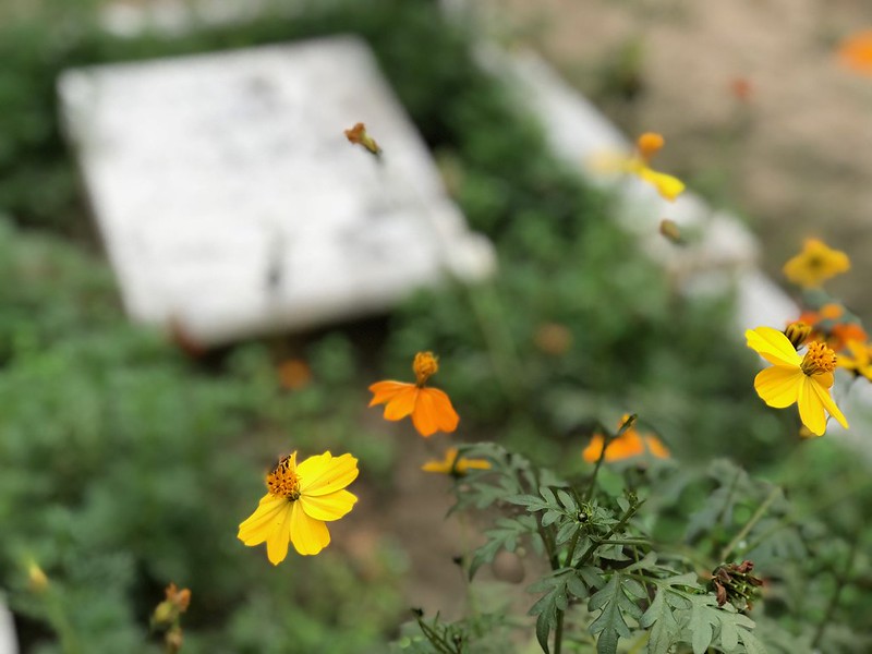 City Landmark - Delhi's Only Parsi Cemetery, Near Prithviraj Road