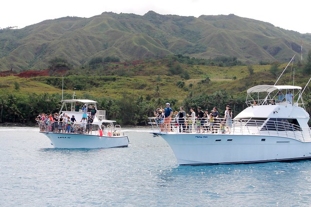 Dolphin Watching Boats