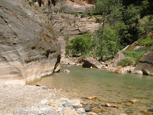 Wide spot in the Virgin River below the Zion Narrows in Zion National Park, Utah