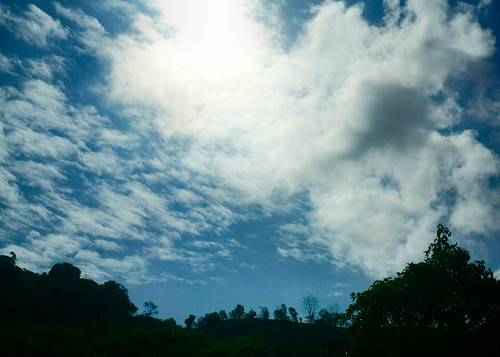 nwn clouds sky sol sun tree