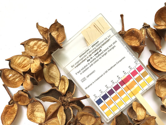 Pixi Beauty Glow Tonic Review pH test
