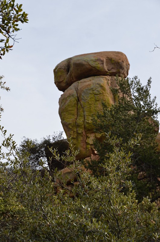 Cochise Stronghold owl rock