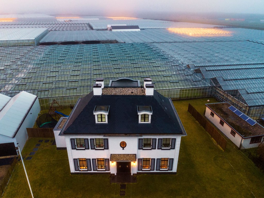 hunger-solution-greenhouse-farm.adapt.1900.1