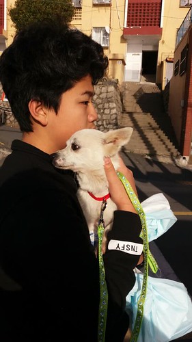 [Update January 21, 2018] Busan KAPCA’s closure of dog farm and rescue of dogs in Yangsan