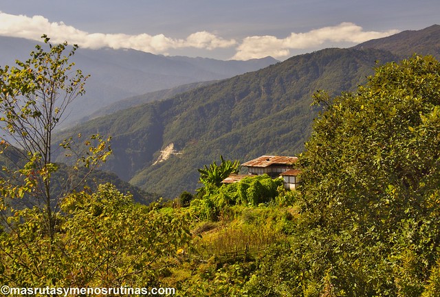 Por los monasterios y bosques de BUTAN - Blogs de Bhutan - El valle de Phobjikha: las grullas cuellinegras son las dueñas (2)