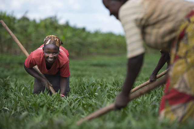CIP Rwanda Good Nutrition  and Innovative Urban Farming Campaign