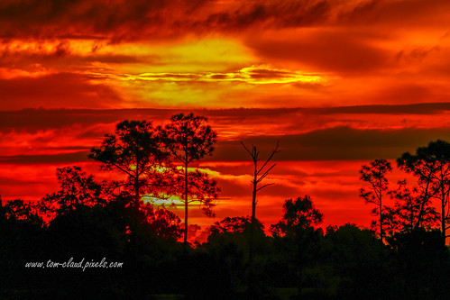 sky firey ablaze sun sunrise weather trees landscape nature mothernature clouds cloudy pineglades naturalarea pinegladesnaturalarea jupiter florida