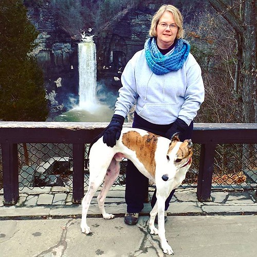 The Wife and the Dee-oh-gee at Taughannock Falls. Aren't they beautiful! 😍😍😍 #wife #Cane #DogsOfInstagram #greyhound #taughannockfalls