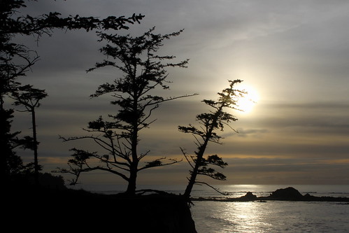 cape arago shore acres sunset bay oregon coast trail hiking christmas lights coos charleston
