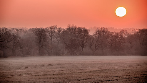 mist sun sky tree 6d canon czech fog forest sigma 150600c grass field sunrise magiceye landscape frost morning