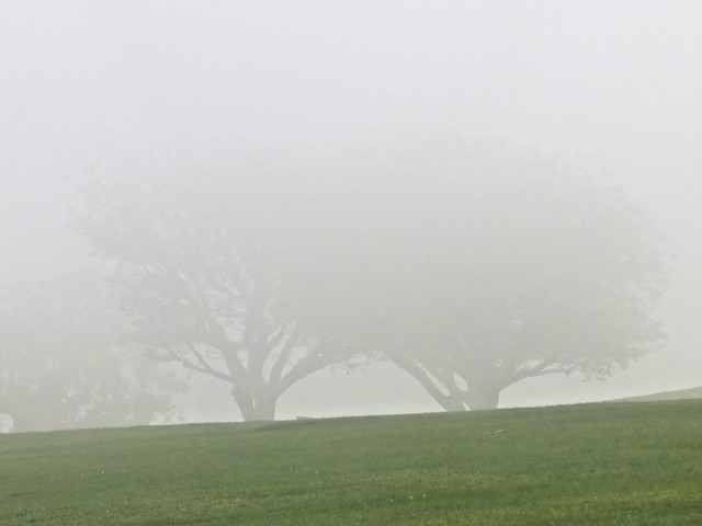 fog blows in