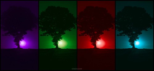warholish tree trees collage ephrata ephratapa pennsylvania pa colors silhouette silhouettes sunset sun