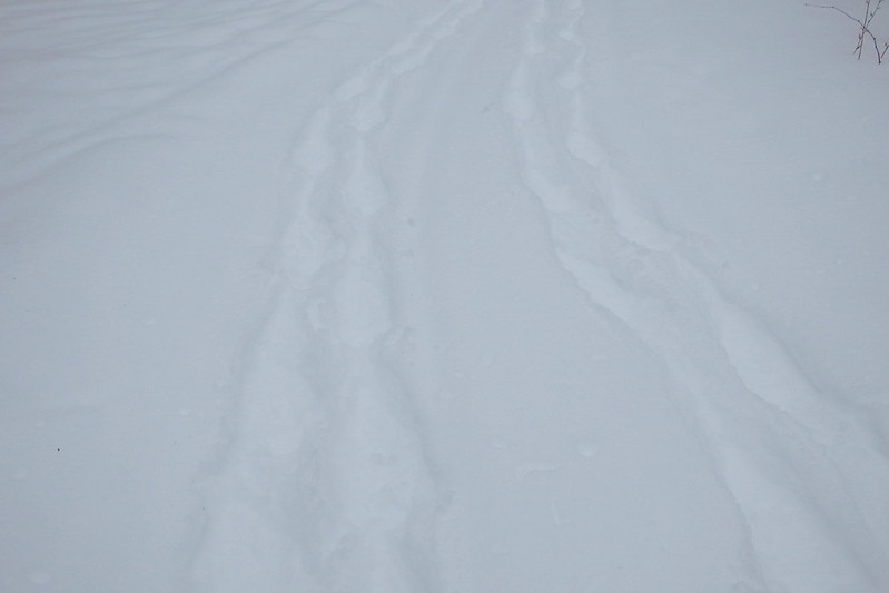 Looking back at two paths of snowshoe tracks.