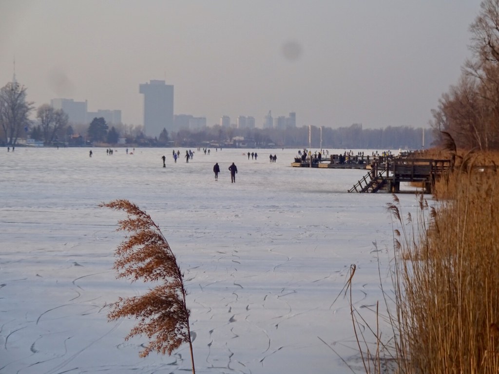 Eis auf der Alten Donau