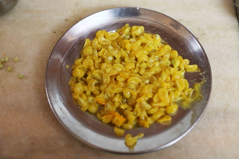 Julia Child in Delhi – Longtime Family Cook Amma Makes Her Narangi Rice, South Delhi