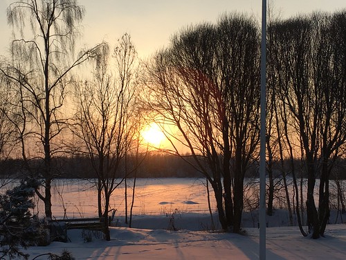 sunrise winter morning cold finland tree kempele