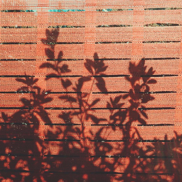 Plant shadow