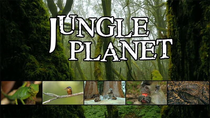 Dokumentari Jungle Planet di TV1