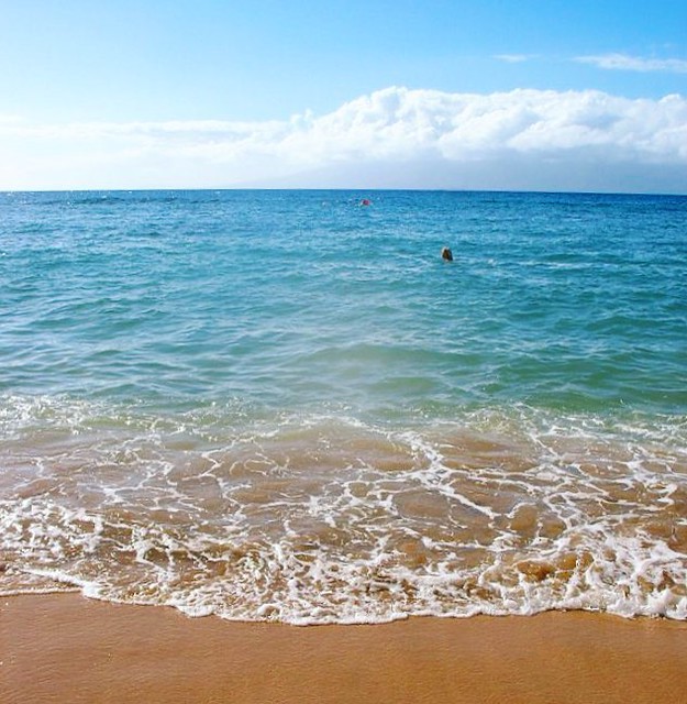 Maui Wowee! I can’t wait to swim in your warm ocean in a month. 😍