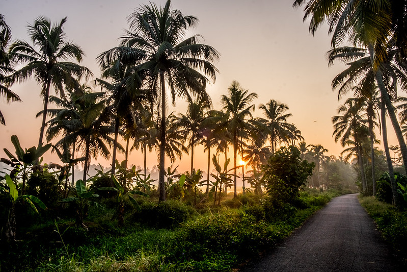 How to See the Kerala Backwaters on a Budget