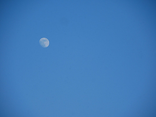 Moon Before Sunset