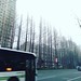 My 3rd Shanghai winter.