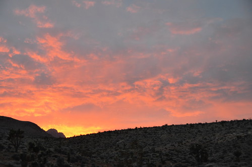 Las Vegas - Red Rock Orange Sunset
