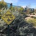 No rattle snakes observed at lunch despite warning signs. . . . #rattlesnake #snake #caution #sandiego