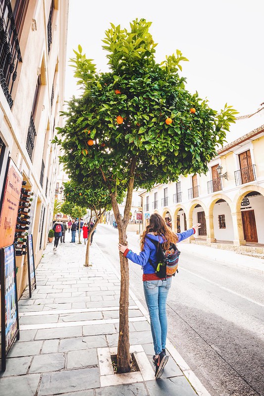 Flora standing beside an orange tree in Ronda, Spain