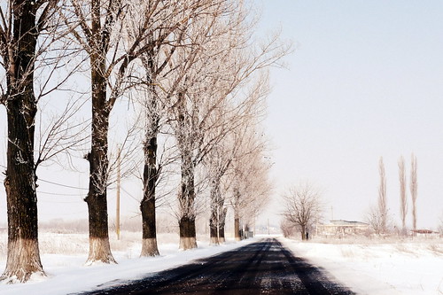 winter ilfov românia bălăceanca bărăgan landscape peisaj iarnă