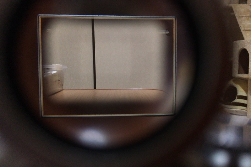 Leica Ⅲf+SUMICRON 50mm f2 0 12585 SBOOI 50mmファインダー 外部ファインダーからの見え方