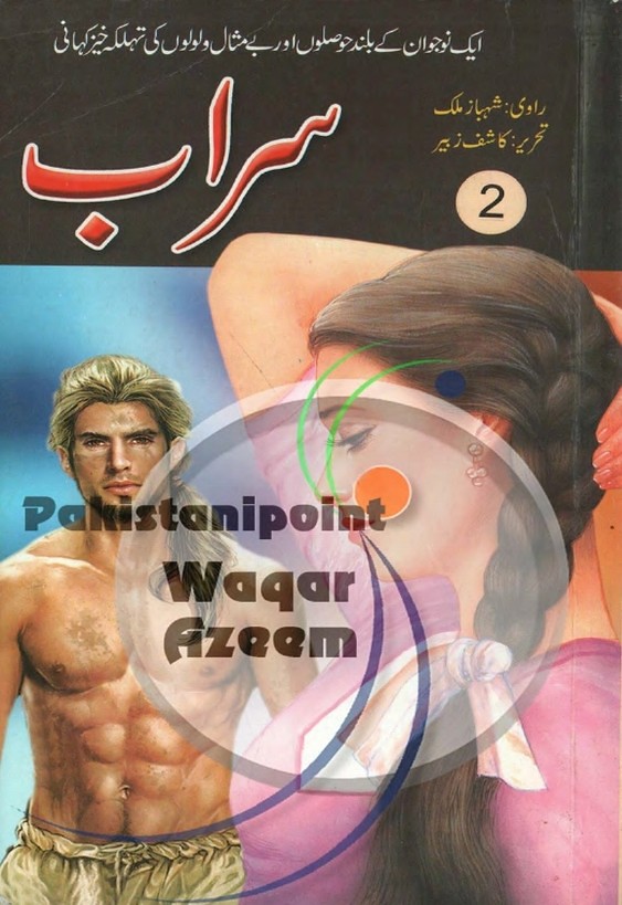 Sarab Part 2  is a very well written complex script novel which depicts normal emotions and behaviour of human like love hate greed power and fear, writen by Kashif Zubair , Kashif Zubair is a very famous and popular specialy among female readers